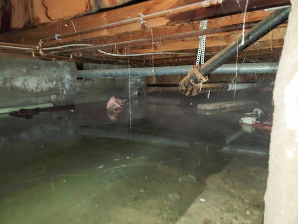 Best Commercial water damage restoration  in Fulton, MD