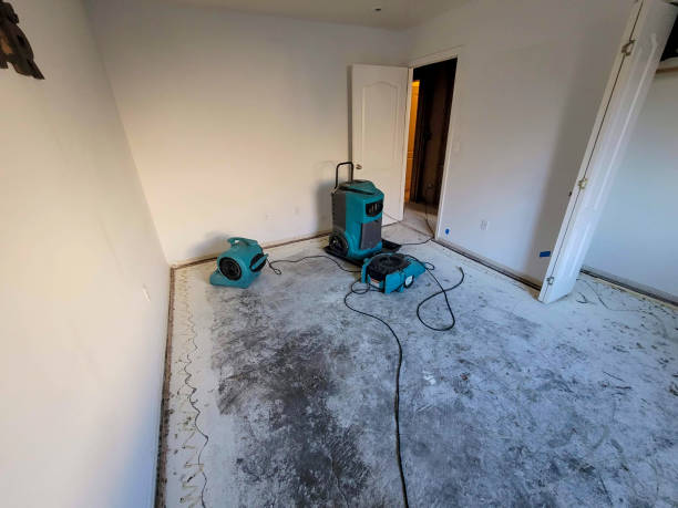 Best Flood restoration services  in Fulton, MD