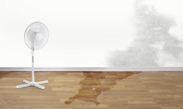 Best Emergency water damage restoration  in Fulton, MD