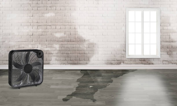 Best 24/7 water damage repair  in Fulton, MD
