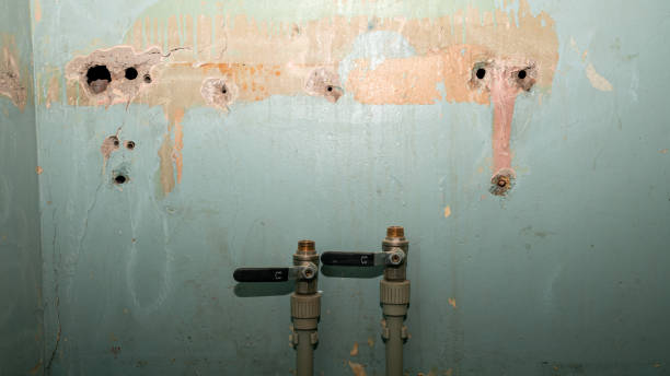 Best Water damage restoration near me  in Fulton, MD